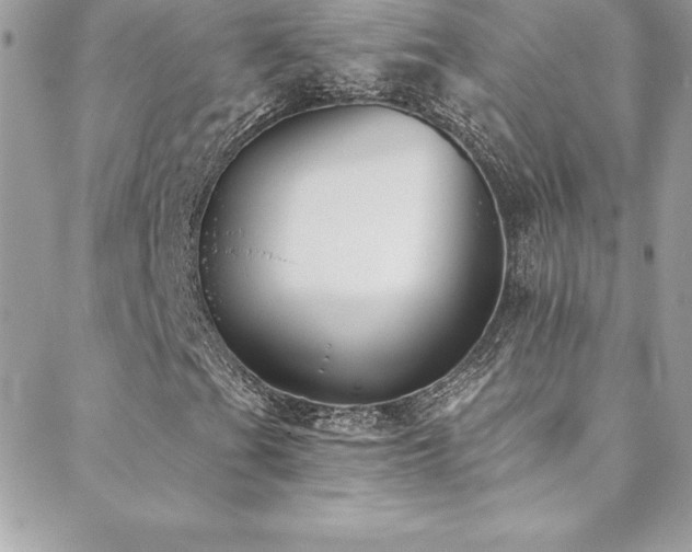 X0000088841201200706071411