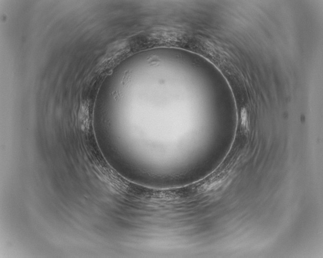 X0000088841203200706071411