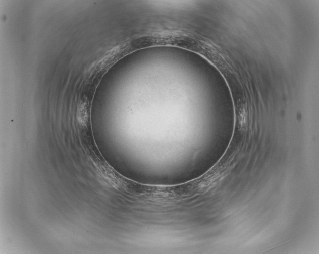 X0000088841204200706071411