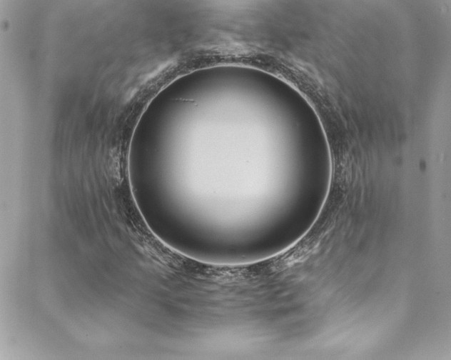 X0000088841205200706071411