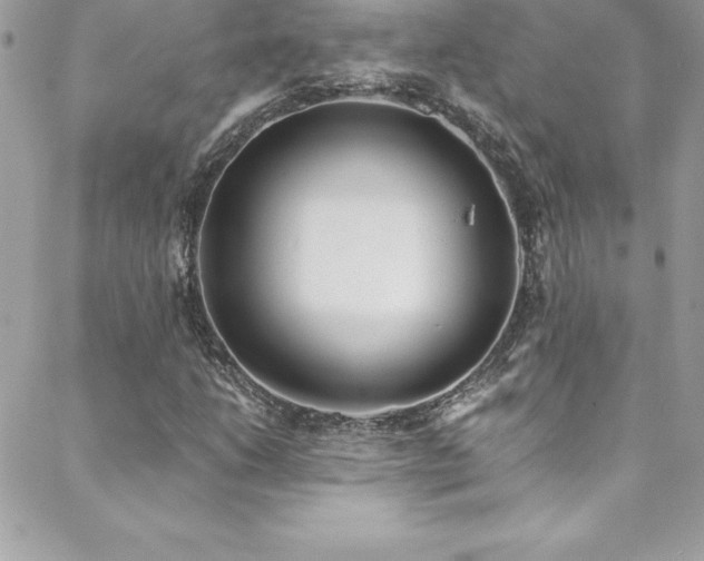 X0000088841206200706071411