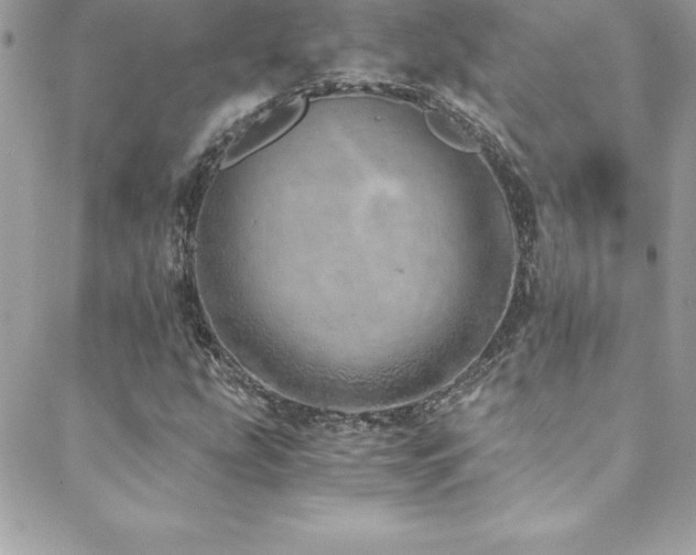 X0000088841207200706071411