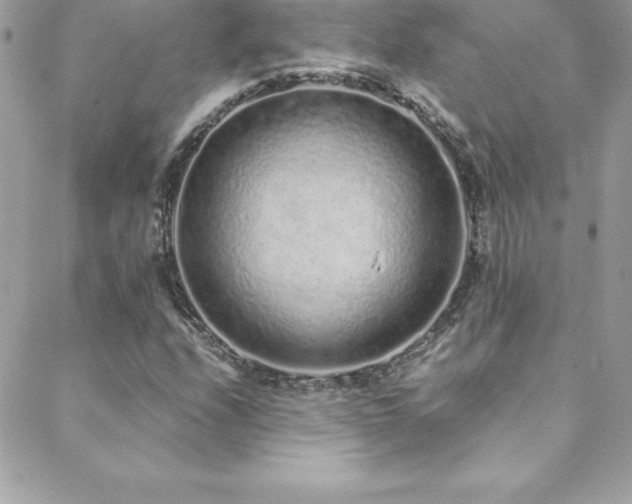 X0000088841208200706071411