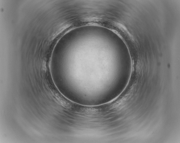 X0000088841209200706071411