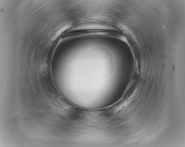 X0000088841210200706071411