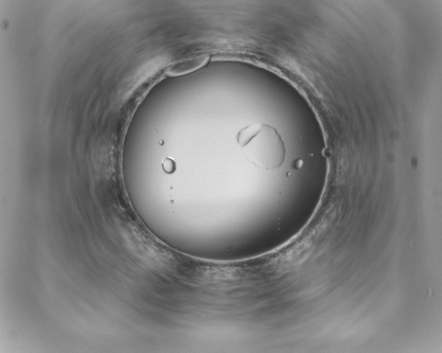 X0000088841211200706071411