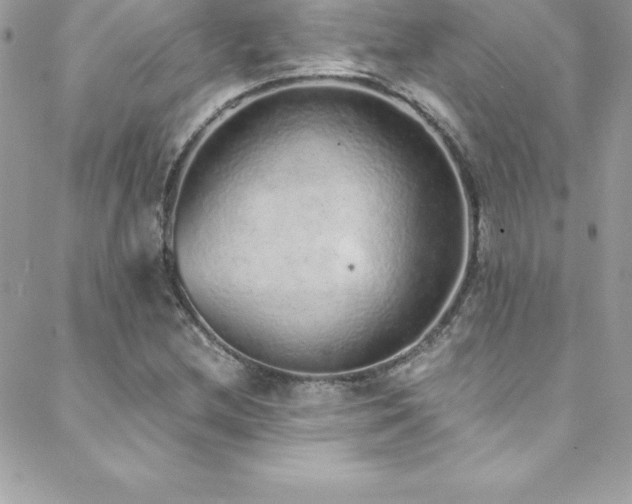 X0000088841212200706071411