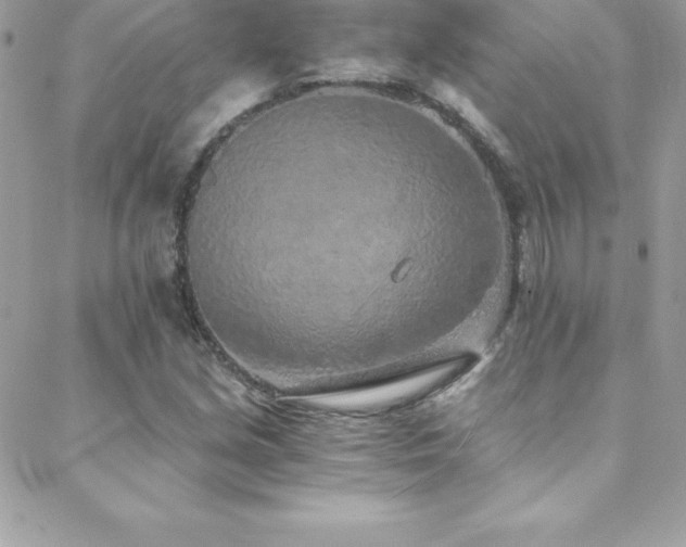 X0000088841213200706071412