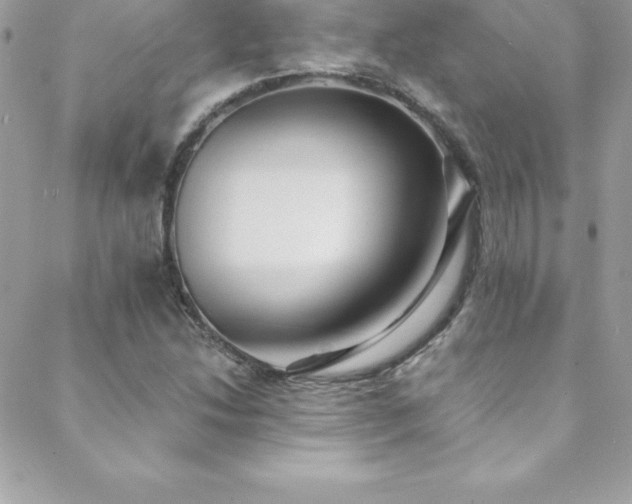 X0000088841214200706071412