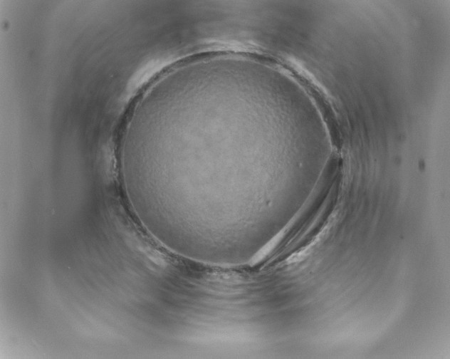 X0000088841215200706071412