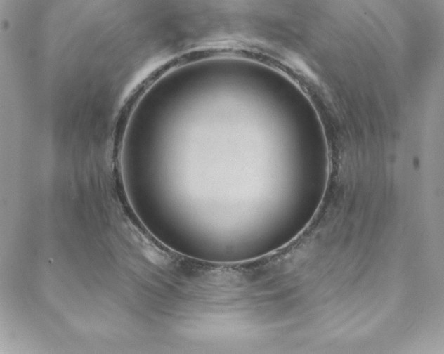 X0000088841216200706071412