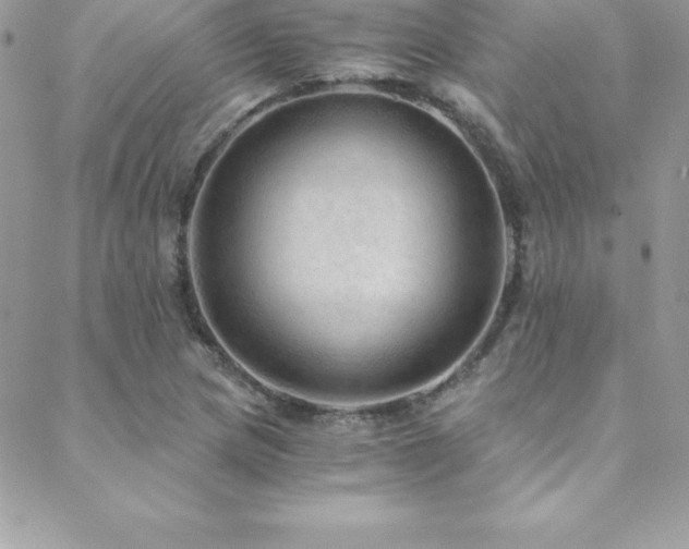 X0000088841217200706071412