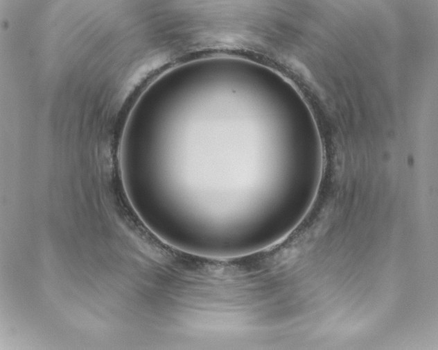 X0000088841218200706071412