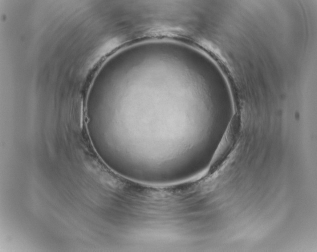 X0000088841219200706071412