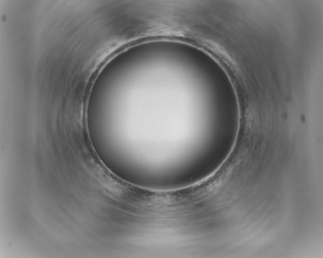 X0000088841220200706071412