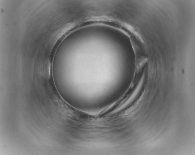 X0000088841221200706071412