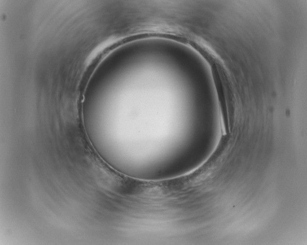 X0000088841222200706071412