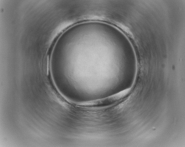 X0000088841223200706071412