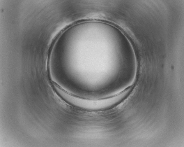 X0000088841224200706071412