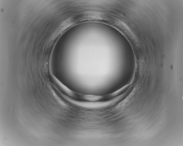 X0000088841225200706071412