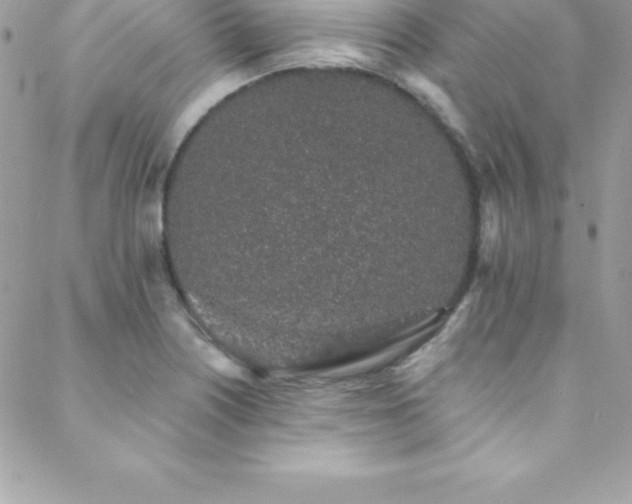 X0000088841226200706071412