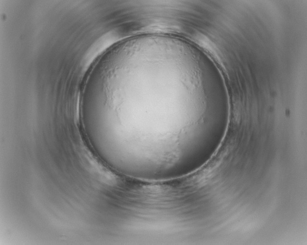 X0000088841227200706071412