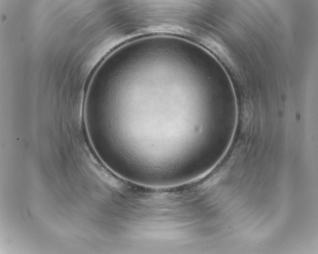 X0000088841228200706071412