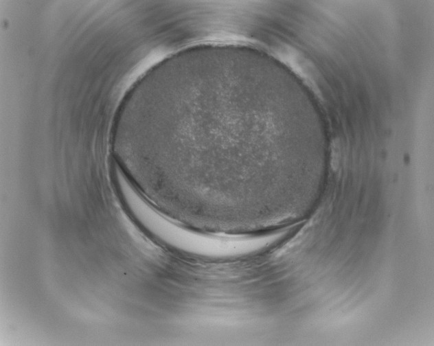 X0000088841229200706071412