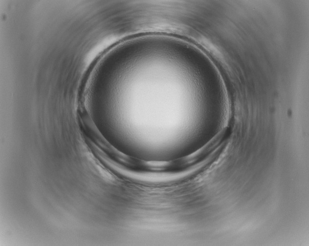 X0000088841230200706071412