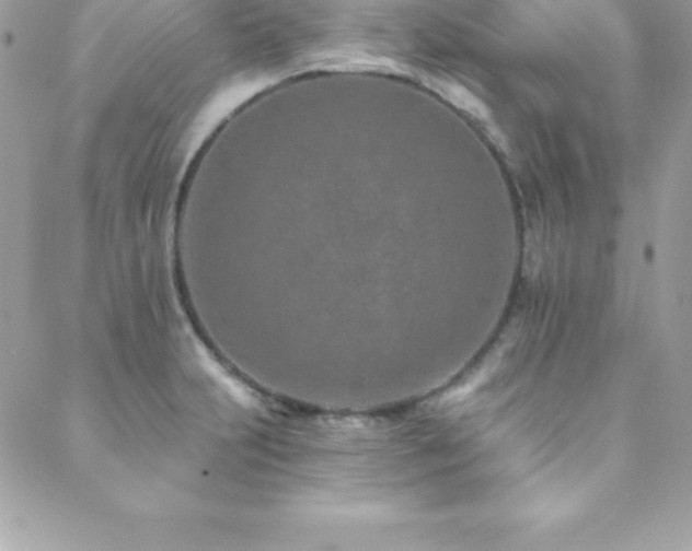 X0000088841231200706071412