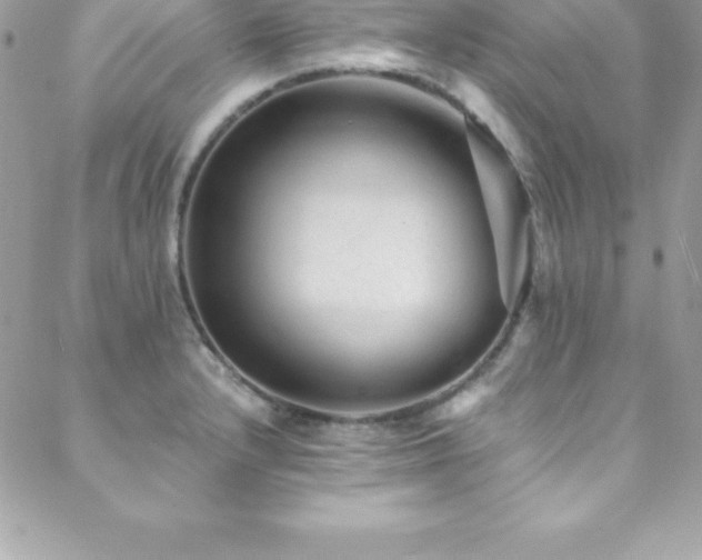 X0000088841232200706071412