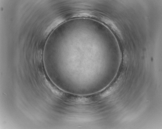 X0000088841233200706071412