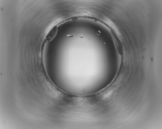 X0000088841234200706071412