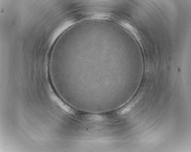 X0000088841235200706071412