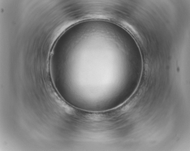 X0000088841236200706071412