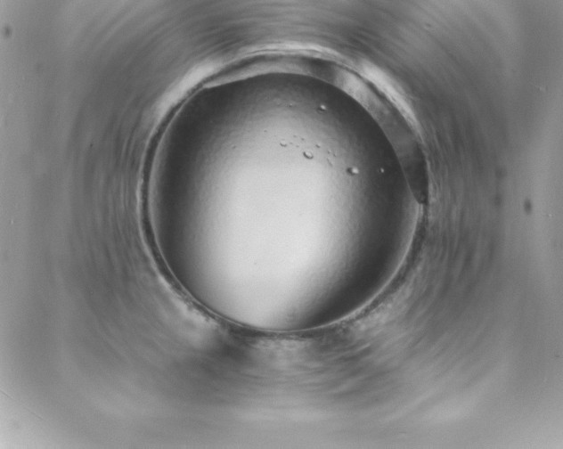 X0000088841237200706071412