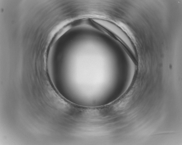 X0000088841238200706071412