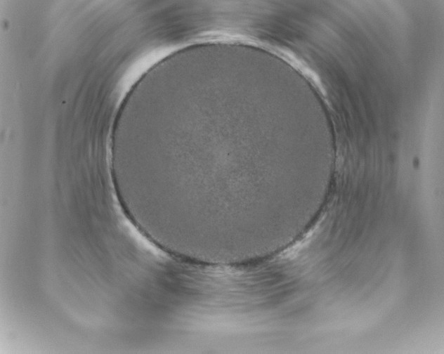 X0000088841239200706071412