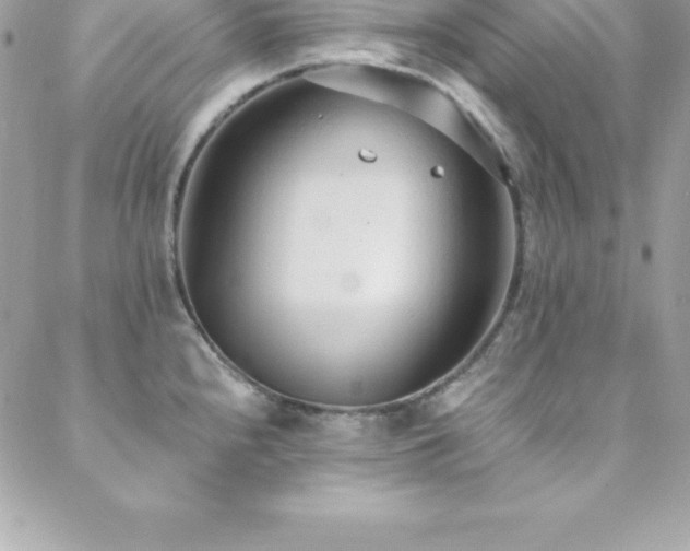 X0000088841240200706071412