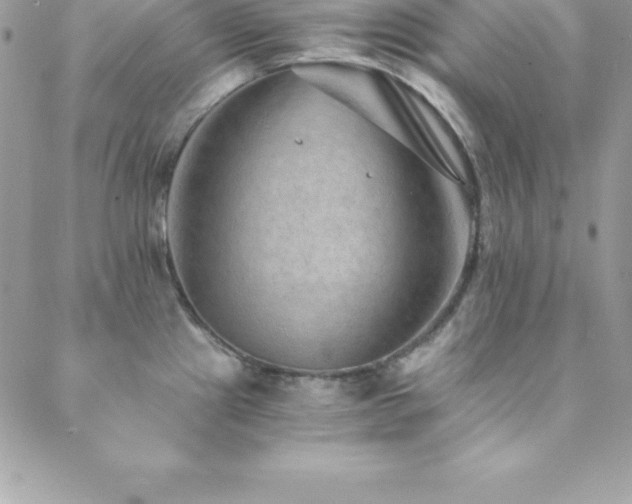 X0000088841241200706071412