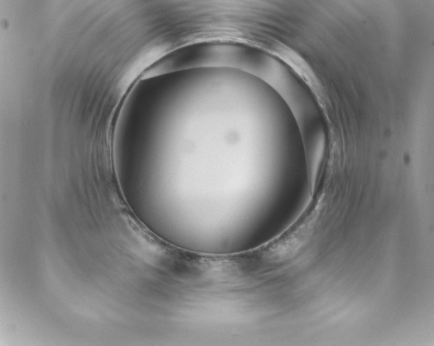 X0000088841242200706071412