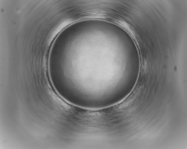 X0000088841243200706071412