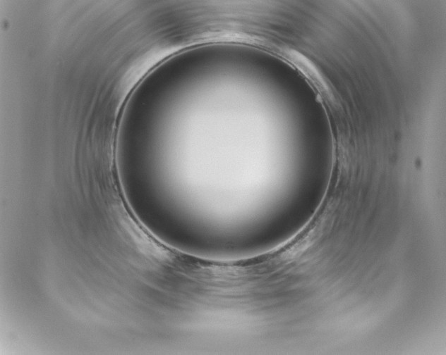 X0000088841244200706071412