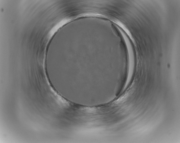 X0000088841245200706071412