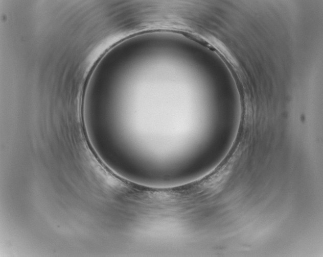 X0000088841246200706071412