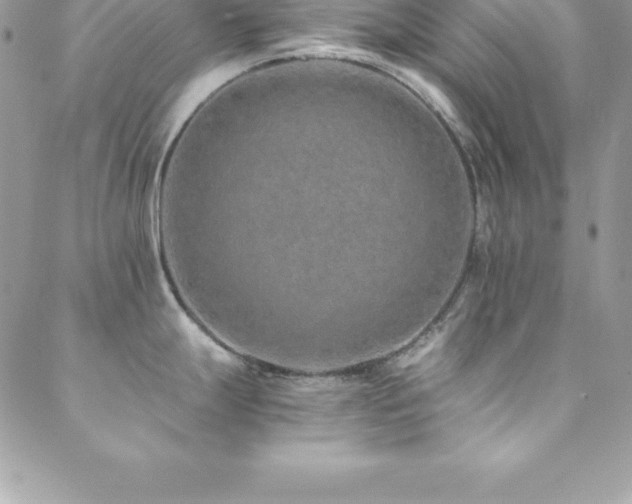 X0000088841247200706071412