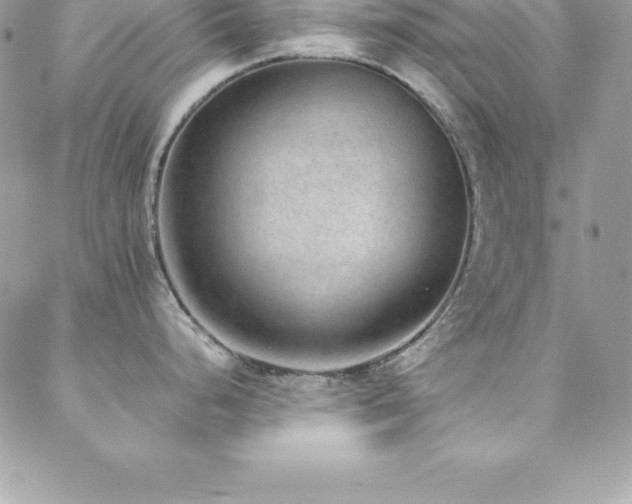 X0000088841248200706071412