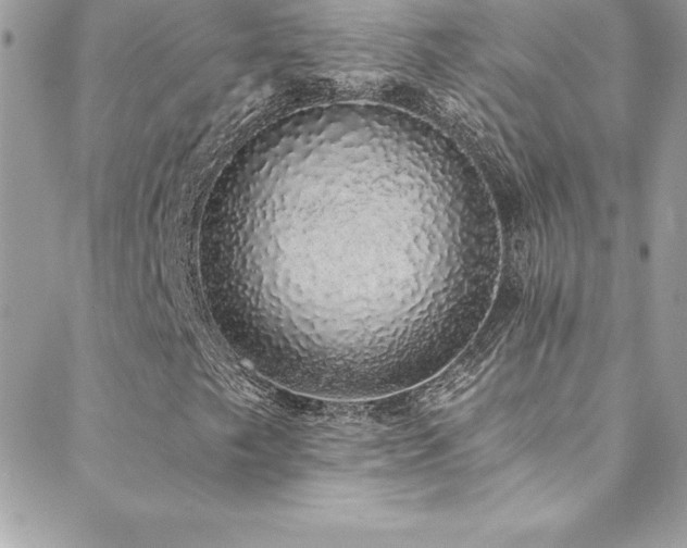 X0000088841249200706071411