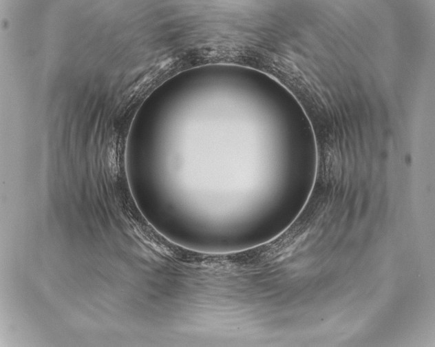 X0000088841250200706071411