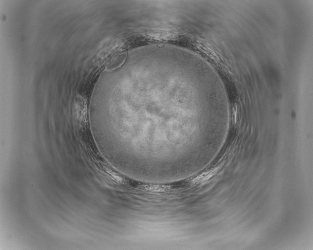 X0000088841251200706071411